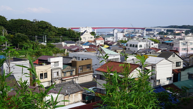 大人の遠足・三浦三崎3884