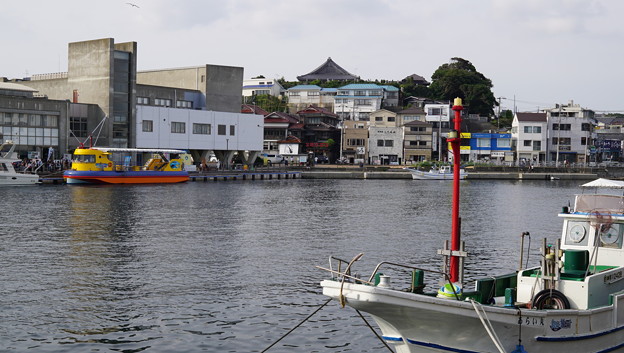 大人の遠足・三浦三崎3911