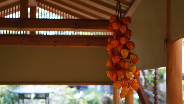 常泉寺(花寺・大和)3