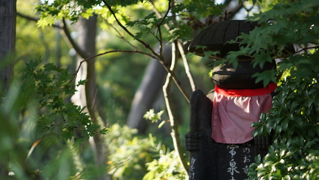 常泉寺(花寺・大和)29