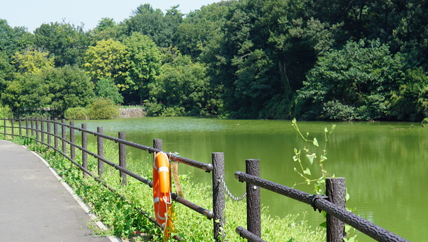 国営武蔵丘陵森林公園4