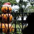 Photos: DSC04915　TDRハロウィン
