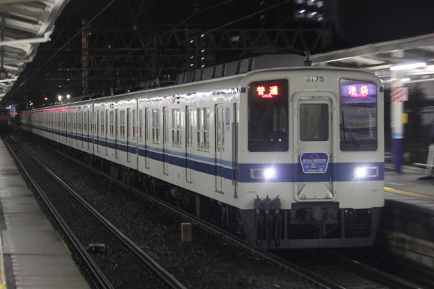 普通池袋行き8175F(ありがとう8000系HM付き)