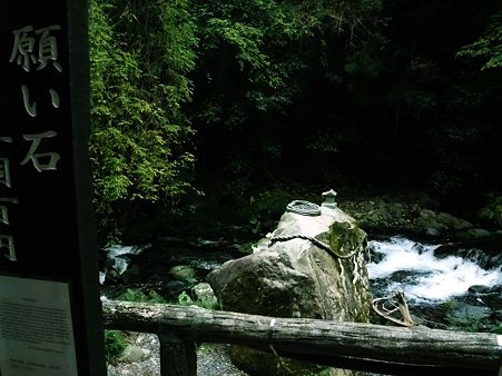 願い叶わず…