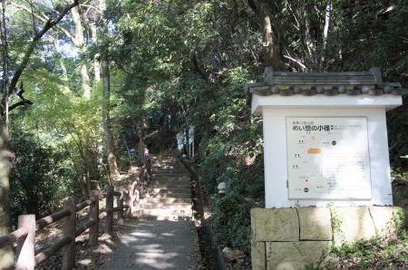 DSC06442