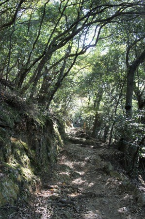 DSC06447