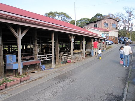 関口牧場2