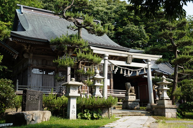 寺泊 白山媛神社