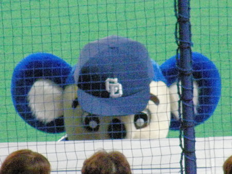 024 ドアラはベンチで選手とナニヤラ(笑)