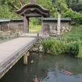 一乗谷朝倉氏遺跡1