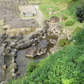 朝倉館跡庭園　池庭1