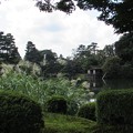 兼六園（霞が池）2
