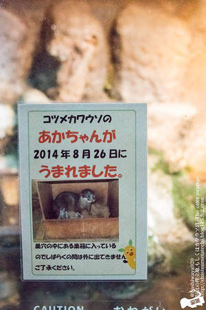 higashiyama141025002