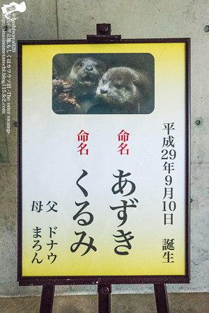 fukushima171218002