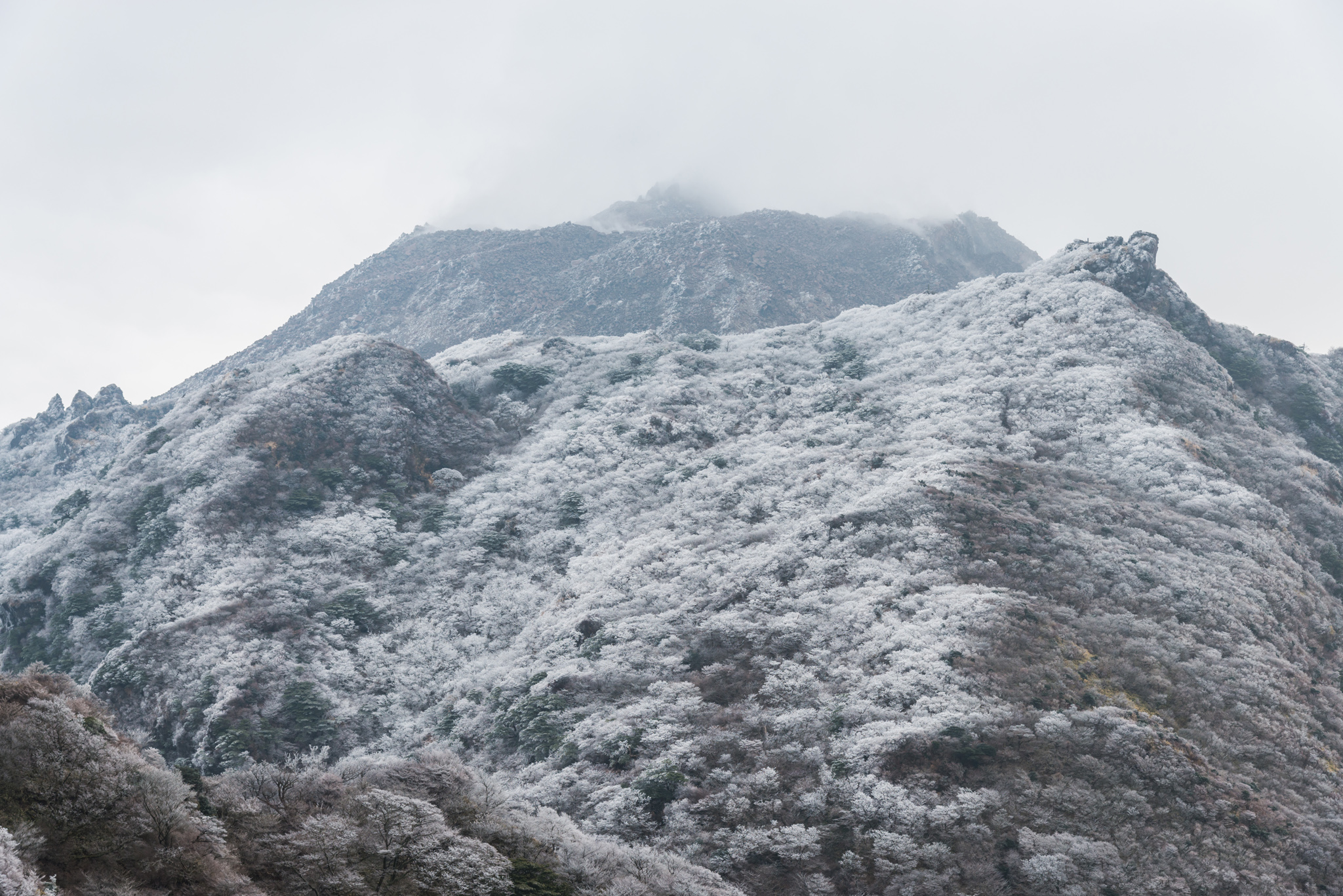 平成新山と普賢岳