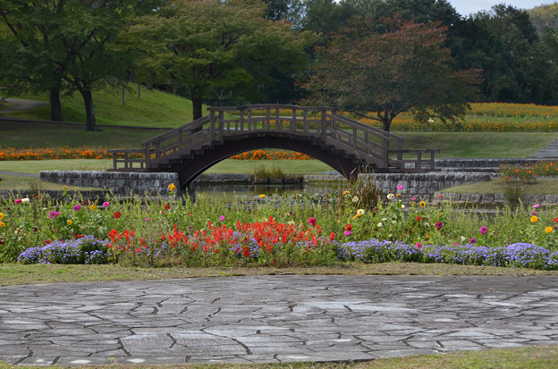 Photos: 初秋の公園