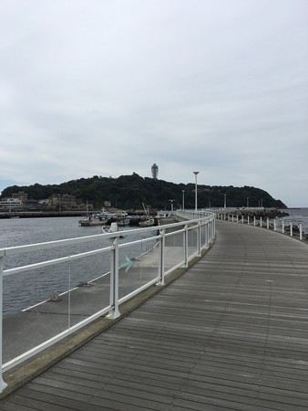 IMG_8367