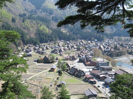 圧縮-IMG_3623