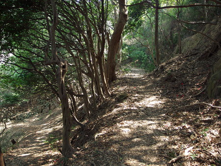 虎島砲台跡へ続く道