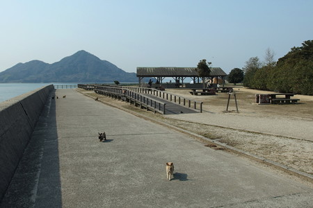 大久野島キャンプ場