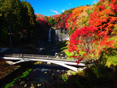 ポップアートで撮る白糸の滝