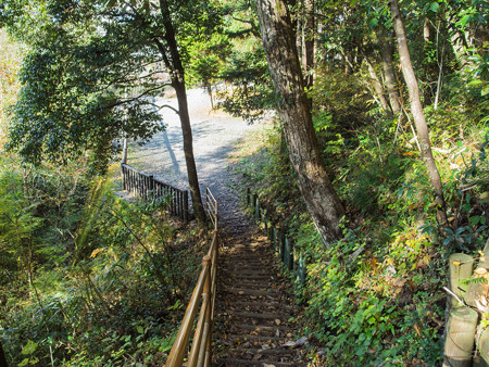 八橋小道 湯彩香公園口