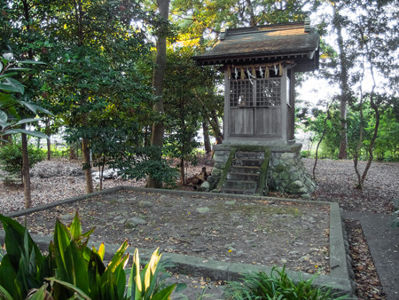 宗像神社 林の中の祠