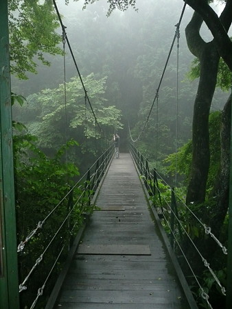 大棚の滝