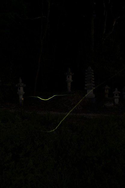 幽玄な夜