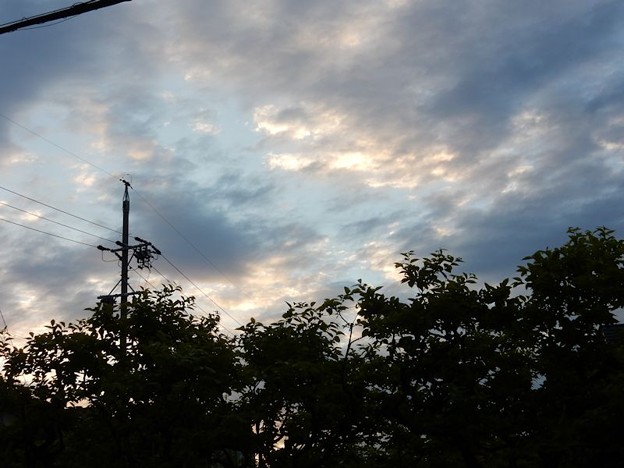 DSCN1915 爽やかな朝 写真: DSCN1915 爽やかな朝