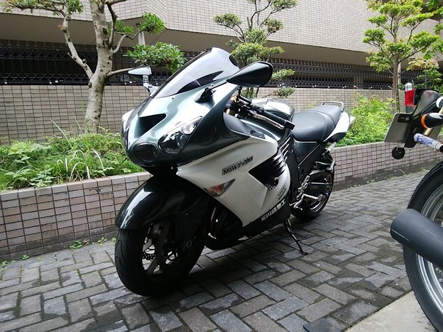 1 やっと乗れる~ 写真: 1 やっと乗れる~