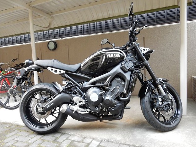 XSR900 (8) 写真: XSR900 (8)