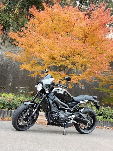 紅葉前 写真: 紅葉前