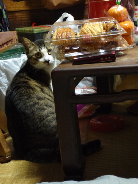 うらやむ眼