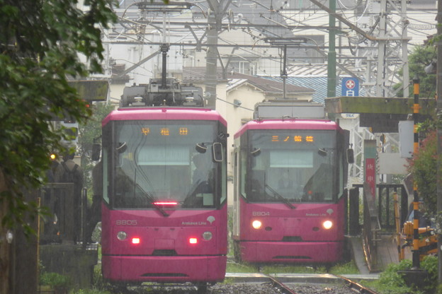 雨の庚申塚に集う「ローズレッド」