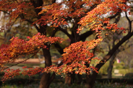 IMGP0745PZ