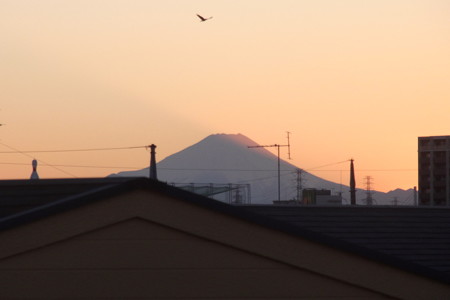 R0018613