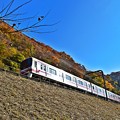 Photos: 西陽に輝く紅葉電車