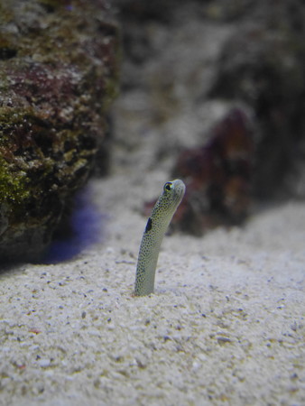 0_P1000684