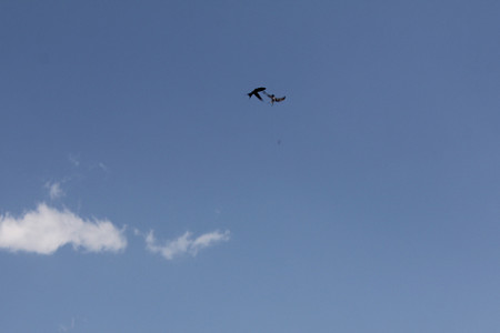 空中戦