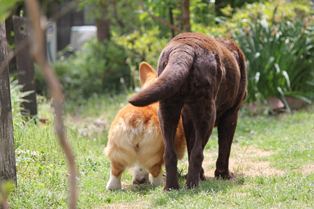 だいじょうぶ?