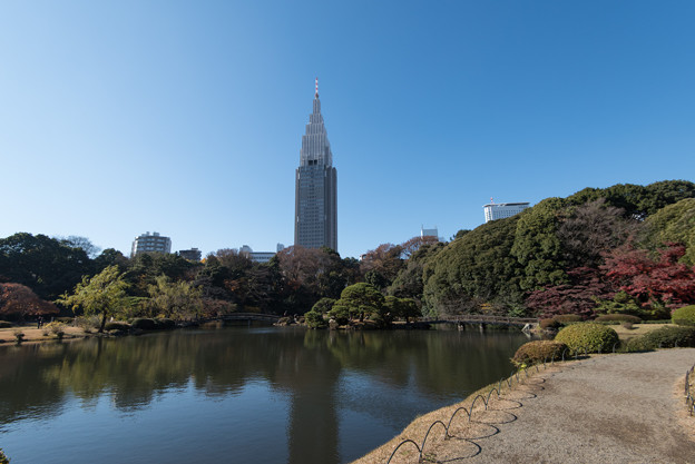 【新宿御苑：上の池】