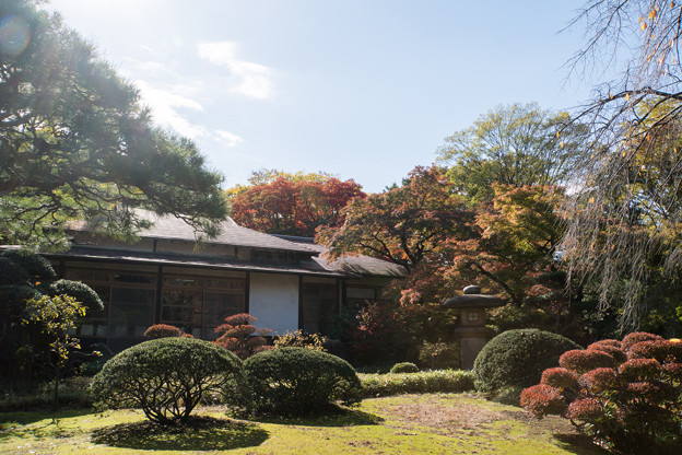 【小石川後楽園の紅葉】1