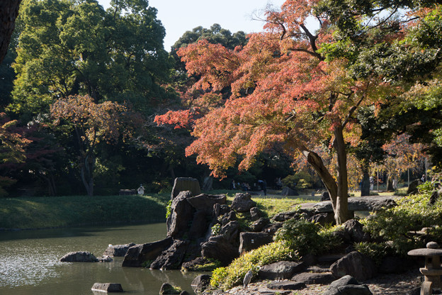 【小石川後楽園の紅葉】6