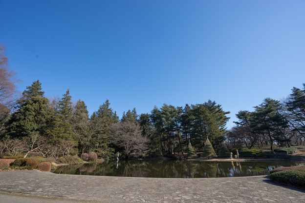 神代植物公園【カワセミが居るはずの池】