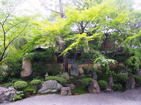 法観寺2014年07月21日_P7210119