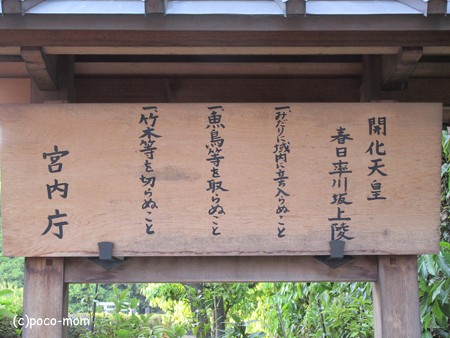三条通り IMG_0569