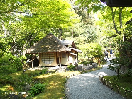 高台寺 P5010501