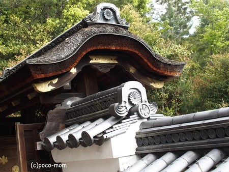 高台寺 P5010546