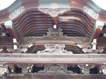 高台寺 勅使門 P5010564